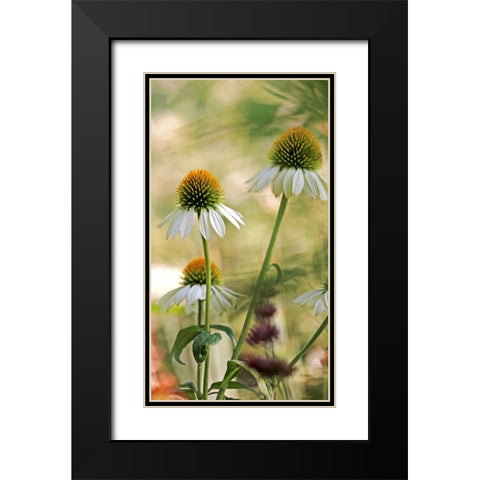White Cones II Black Modern Wood Framed Art Print with Double Matting by Putman, Tammy