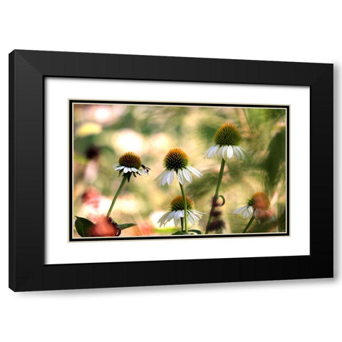 White Cones III Black Modern Wood Framed Art Print with Double Matting by Putman, Tammy