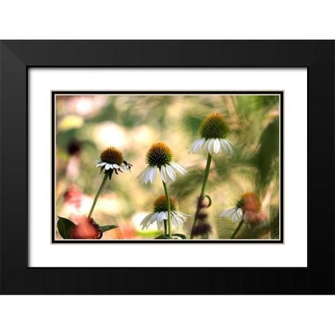 White Cones III Black Modern Wood Framed Art Print with Double Matting by Putman, Tammy
