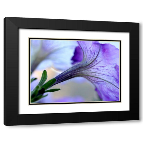 Purple Light Black Modern Wood Framed Art Print with Double Matting by Putman, Tammy