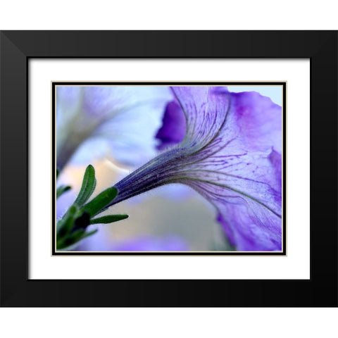 Purple Light Black Modern Wood Framed Art Print with Double Matting by Putman, Tammy