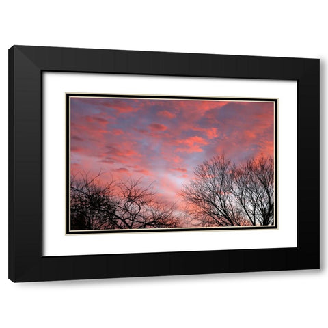 Dusk Silhouette III Black Modern Wood Framed Art Print with Double Matting by Putman, Tammy