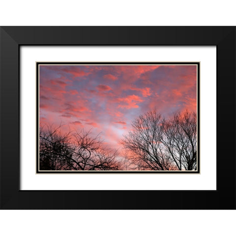 Dusk Silhouette III Black Modern Wood Framed Art Print with Double Matting by Putman, Tammy