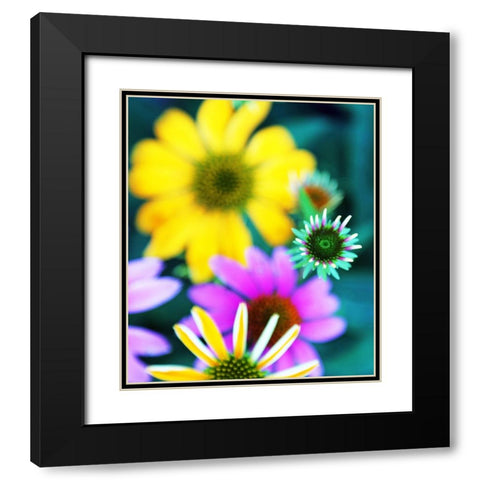 Colorful Bouquet I Black Modern Wood Framed Art Print with Double Matting by Putman, Tammy