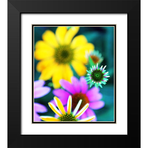 Colorful Bouquet I Black Modern Wood Framed Art Print with Double Matting by Putman, Tammy
