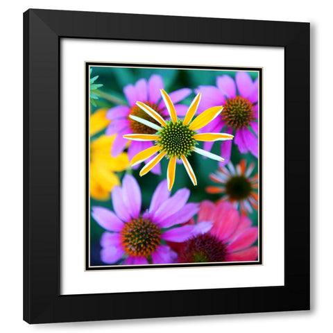 Colorful Bouquet II Black Modern Wood Framed Art Print with Double Matting by Putman, Tammy