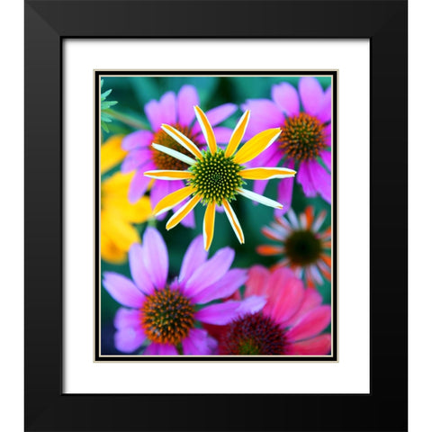 Colorful Bouquet II Black Modern Wood Framed Art Print with Double Matting by Putman, Tammy
