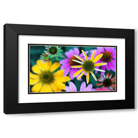 Colorful Bouquet III Black Modern Wood Framed Art Print with Double Matting by Putman, Tammy