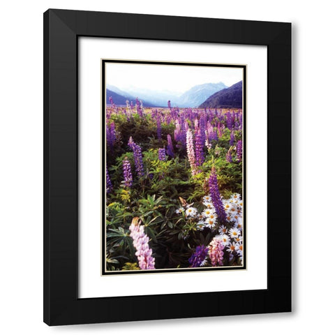 Russell Lupin I Black Modern Wood Framed Art Print with Double Matting by Stefko, Bob
