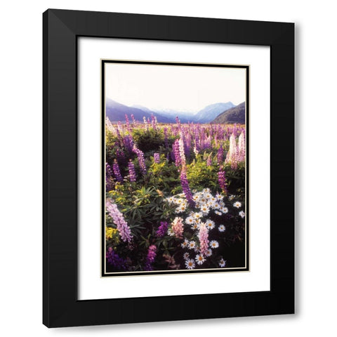 Russell Lupin II Black Modern Wood Framed Art Print with Double Matting by Stefko, Bob