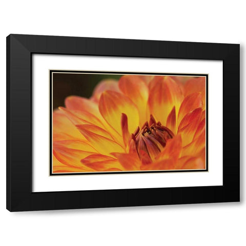 Orange Flame Black Modern Wood Framed Art Print with Double Matting by Styber, Dana