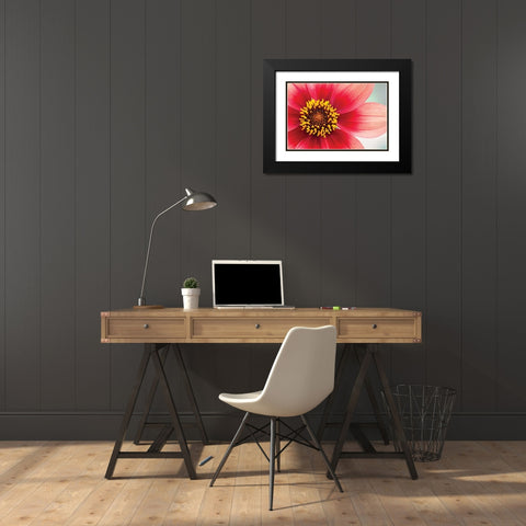 Starburst IV Black Modern Wood Framed Art Print with Double Matting by Styber, Dana