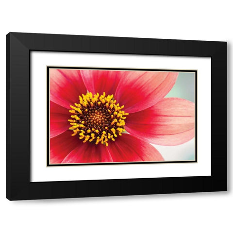 Starburst IV Black Modern Wood Framed Art Print with Double Matting by Styber, Dana