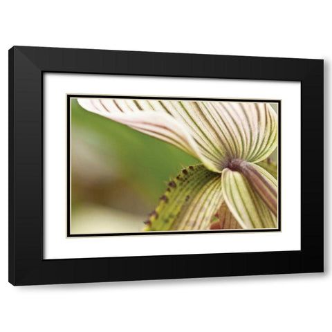 Green Mist Black Modern Wood Framed Art Print with Double Matting by Styber, Dana