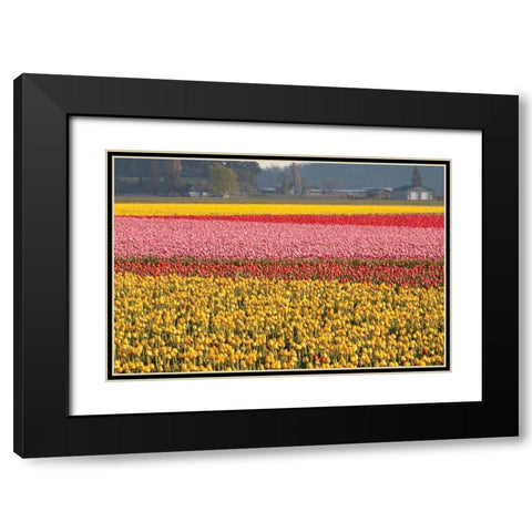 Reds Pinksand Yellows Black Modern Wood Framed Art Print with Double Matting by Styber, Dana
