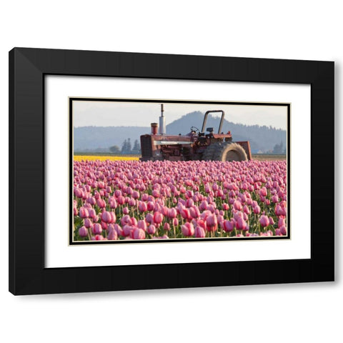 Tractor and Tulips II Black Modern Wood Framed Art Print with Double Matting by Styber, Dana