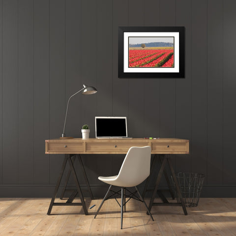 Lonesome Tree Black Modern Wood Framed Art Print with Double Matting by Styber, Dana