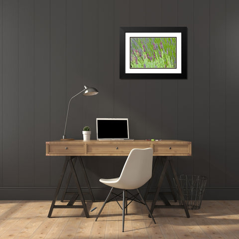 Lavender Sway I Black Modern Wood Framed Art Print with Double Matting by Styber, Dana