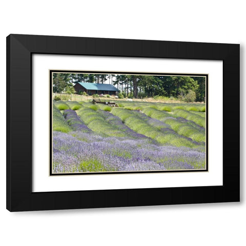 Lavender Hill I Black Modern Wood Framed Art Print with Double Matting by Styber, Dana