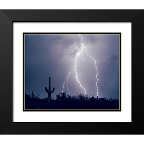 Electric Desert I Black Modern Wood Framed Art Print with Double Matting by Taylor, Douglas