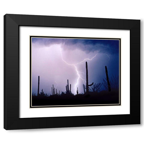 Electric Desert II Black Modern Wood Framed Art Print with Double Matting by Taylor, Douglas
