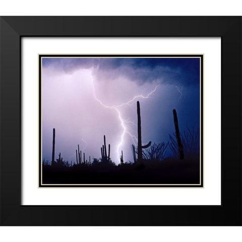 Electric Desert II Black Modern Wood Framed Art Print with Double Matting by Taylor, Douglas