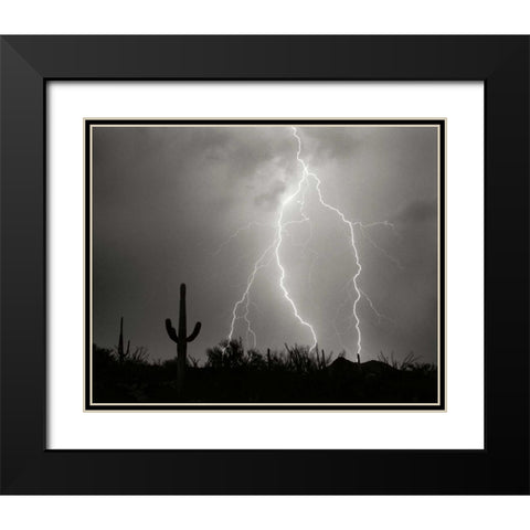Electric Desert I - BW Black Modern Wood Framed Art Print with Double Matting by Taylor, Douglas