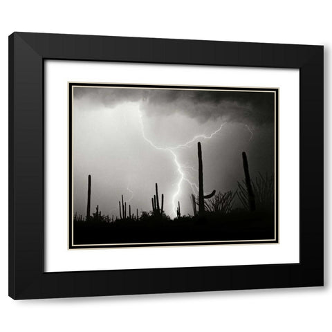 Electric Desert II - BW Black Modern Wood Framed Art Print with Double Matting by Taylor, Douglas