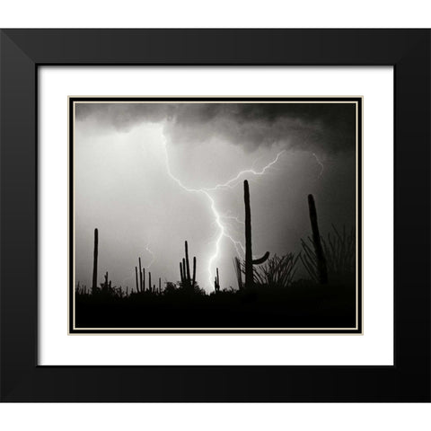 Electric Desert II - BW Black Modern Wood Framed Art Print with Double Matting by Taylor, Douglas