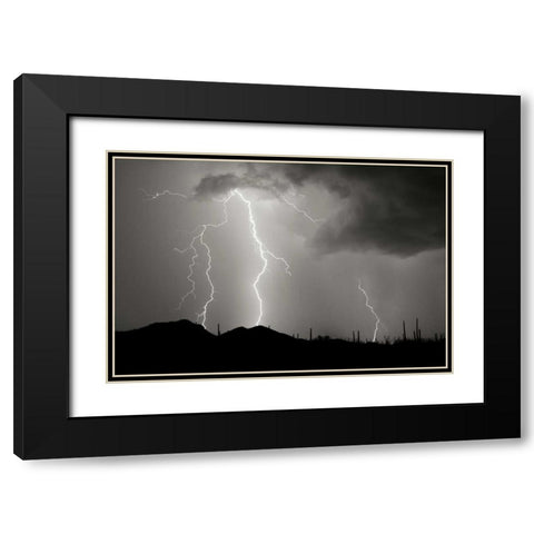 Striking Symmetry II - BW Black Modern Wood Framed Art Print with Double Matting by Taylor, Douglas
