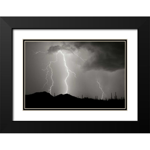 Striking Symmetry II - BW Black Modern Wood Framed Art Print with Double Matting by Taylor, Douglas