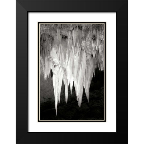 Carlsbad Cavern I BW Black Modern Wood Framed Art Print with Double Matting by Taylor, Douglas