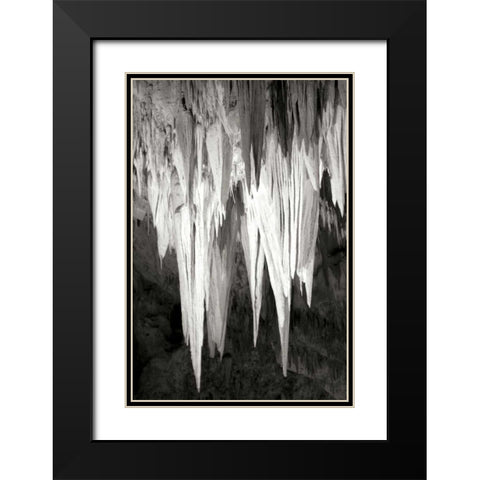 Carlsbad Cavern II BW Black Modern Wood Framed Art Print with Double Matting by Taylor, Douglas