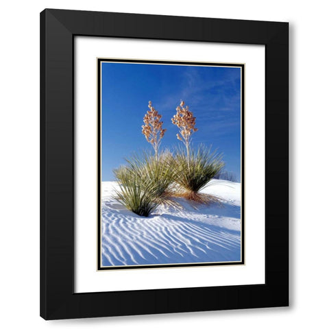 Yuccas and White Sand I Black Modern Wood Framed Art Print with Double Matting by Taylor, Douglas