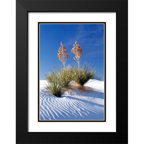 Yuccas and White Sand I Black Modern Wood Framed Art Print with Double Matting by Taylor, Douglas