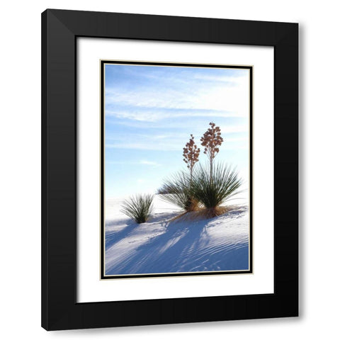 Yuccas and White Sand II Black Modern Wood Framed Art Print with Double Matting by Taylor, Douglas