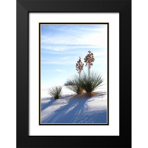 Yuccas and White Sand II Black Modern Wood Framed Art Print with Double Matting by Taylor, Douglas
