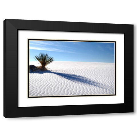 Sand Shadows I Black Modern Wood Framed Art Print with Double Matting by Taylor, Douglas