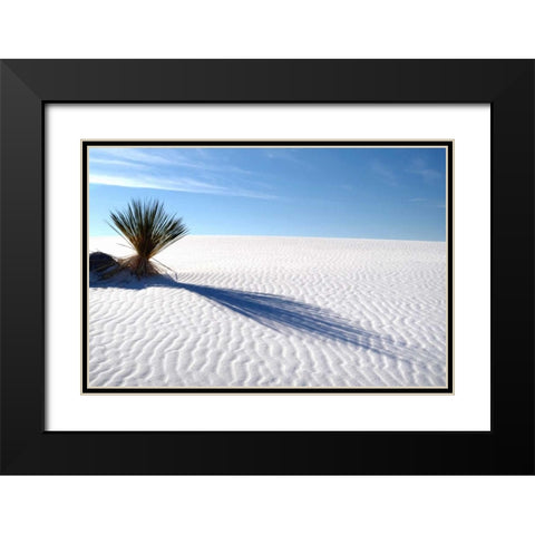 Sand Shadows I Black Modern Wood Framed Art Print with Double Matting by Taylor, Douglas