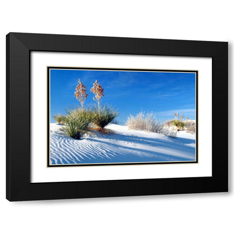 Sand Shadows II Black Modern Wood Framed Art Print with Double Matting by Taylor, Douglas