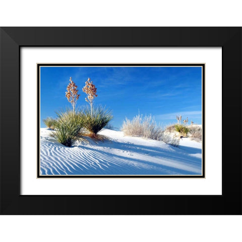 Sand Shadows II Black Modern Wood Framed Art Print with Double Matting by Taylor, Douglas