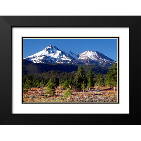 Morning in Shasta Black Modern Wood Framed Art Print with Double Matting by Taylor, Douglas