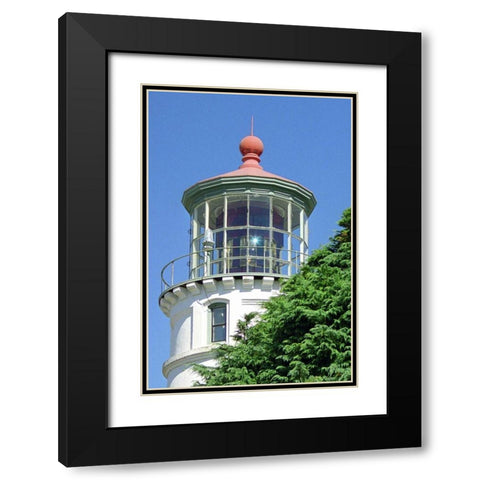 Umpqua River Lighthouse Black Modern Wood Framed Art Print with Double Matting by Taylor, Douglas