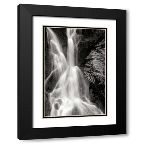 Falling Water I BW Black Modern Wood Framed Art Print with Double Matting by Taylor, Douglas