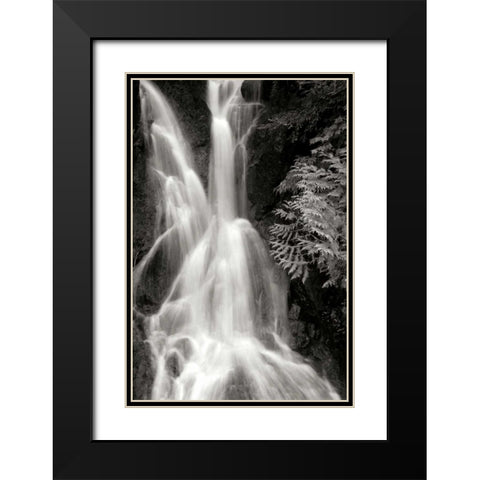 Falling Water I BW Black Modern Wood Framed Art Print with Double Matting by Taylor, Douglas