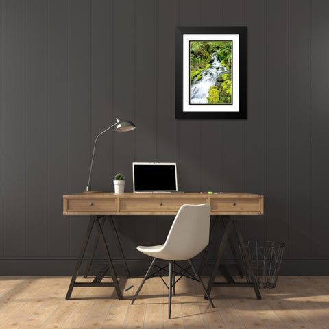Mountain Stream Black Modern Wood Framed Art Print with Double Matting by Taylor, Douglas