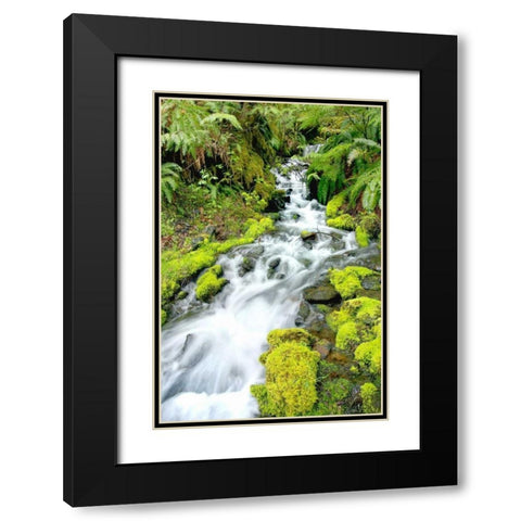 Mountain Stream Black Modern Wood Framed Art Print with Double Matting by Taylor, Douglas