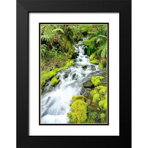 Mountain Stream Black Modern Wood Framed Art Print with Double Matting by Taylor, Douglas