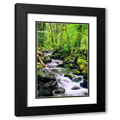 Snowmelt Black Modern Wood Framed Art Print with Double Matting by Taylor, Douglas