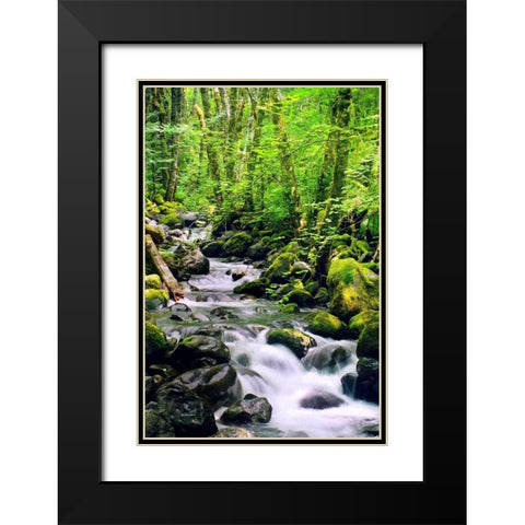 Snowmelt Black Modern Wood Framed Art Print with Double Matting by Taylor, Douglas